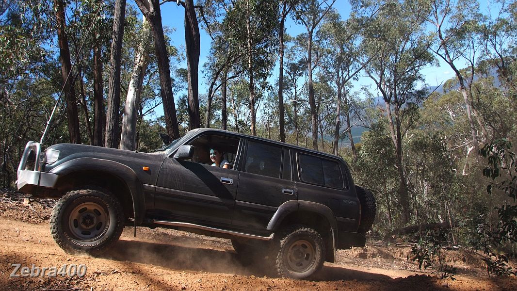 11-Rachel enjoys the steep climb up the Tingaringy Track.JPG
